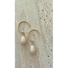 FRIIHOF+SIIG - GULDBELAGTE RERINGE 