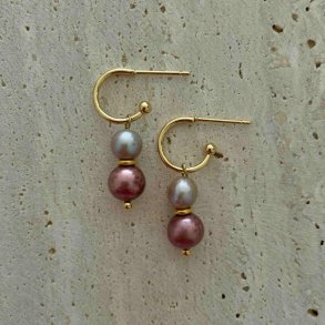 FRIIHOF+SIIG - GULDBELAGTE RERINGE 