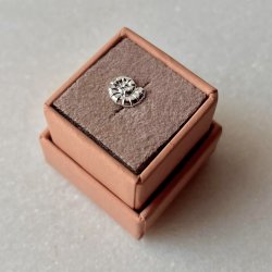 FRIIHOF+SIIG - ONE PIECE - RHODIUM (SLVLOOK) RESTIK 