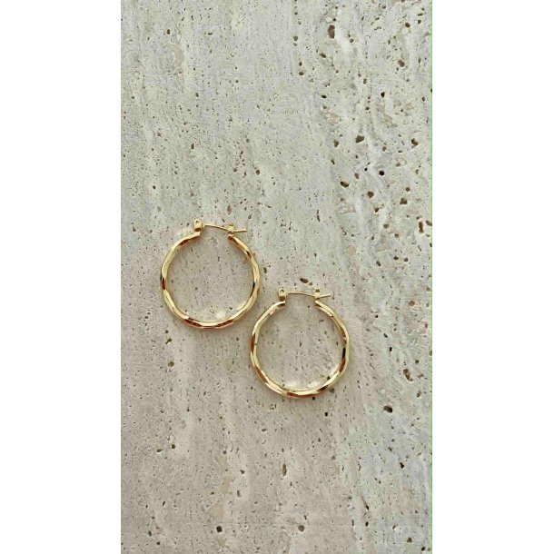 FRIIHOF+SIIG - GULDBELAGTE RERINGE