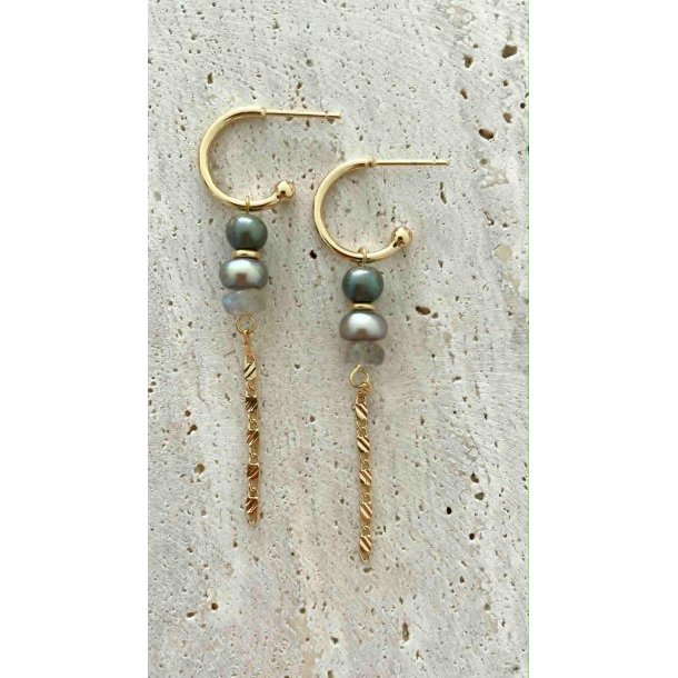 FRIIHOF+SIIG - GULDBELAGTE RERINGE