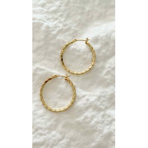 FRIIHOF+SIIG - GULDBELAGTE RERINGE 